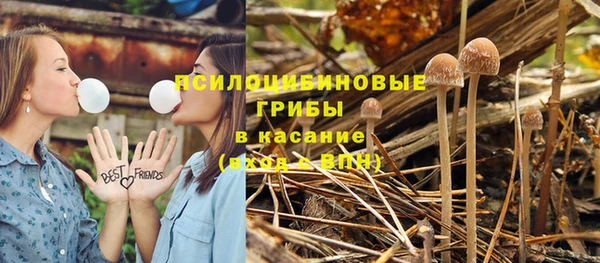 не бодяженный Богданович