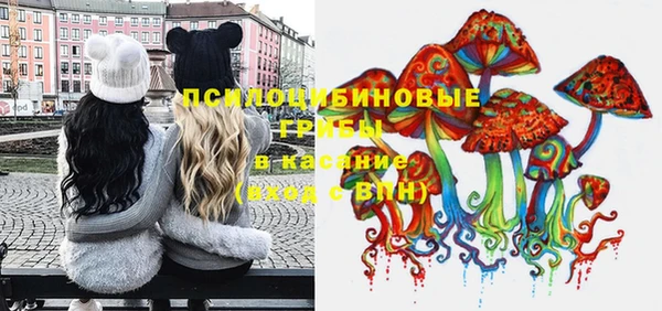 мяу мяу мука Снежногорск