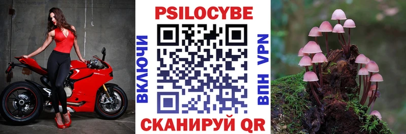 Псилоцибиновые грибы мухоморы  купить наркотик  Кувандык 